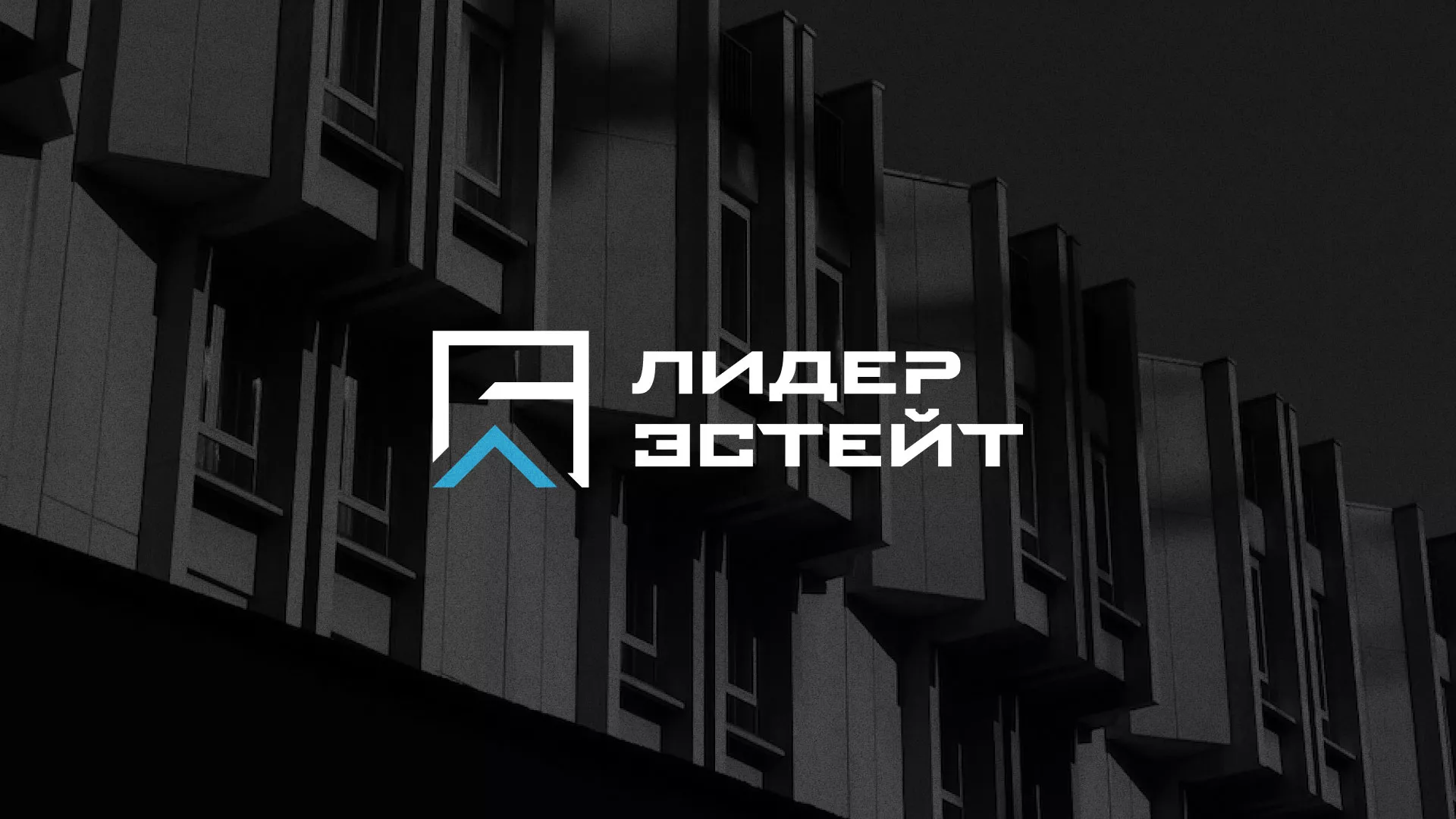 Разработка логотипа агентства недвижимости «Лидер Эстейт» в Подпорожье