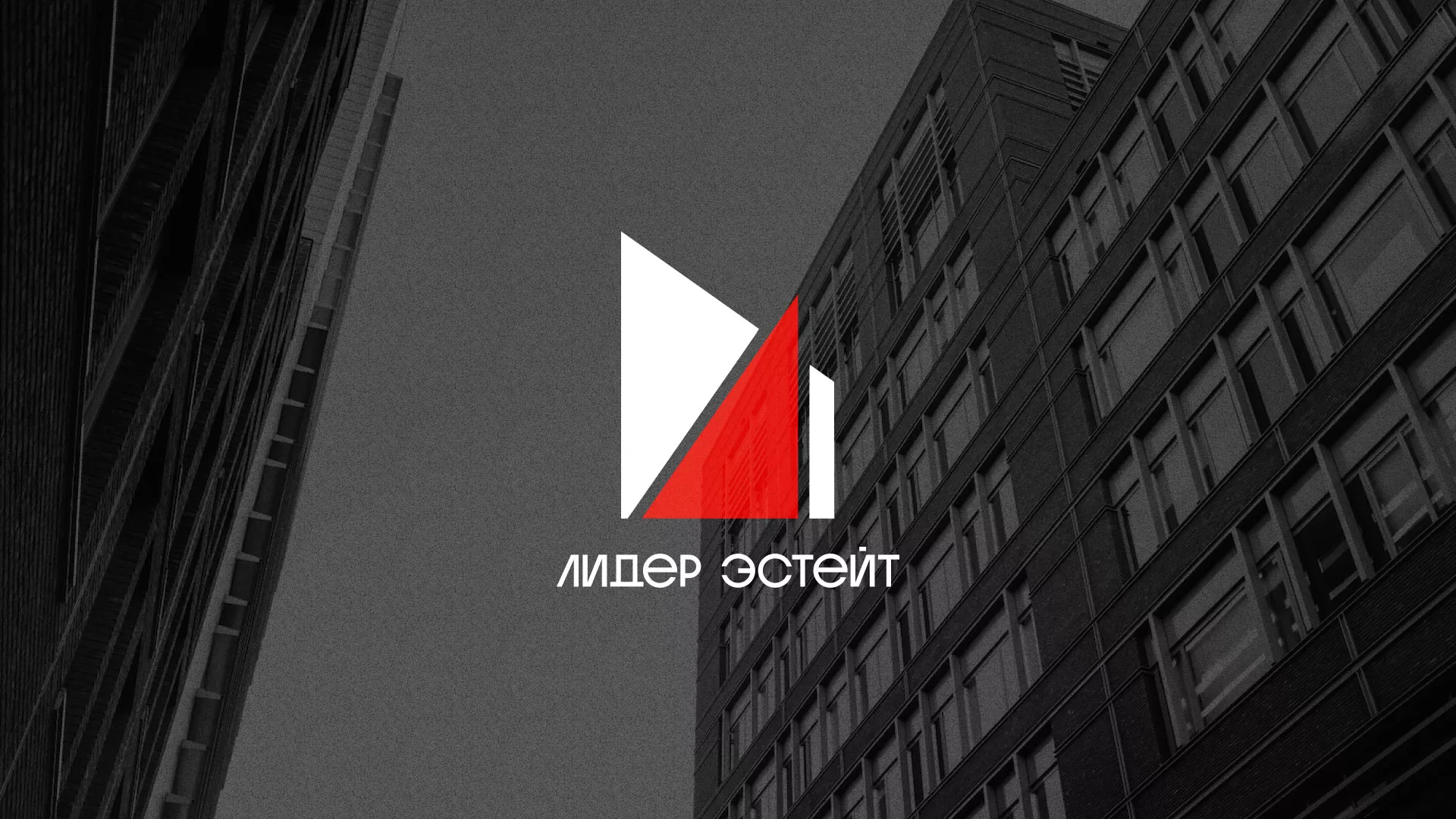 Сделали логотип для агентства недвижимости «Лидер Эстейт» в Подпорожье